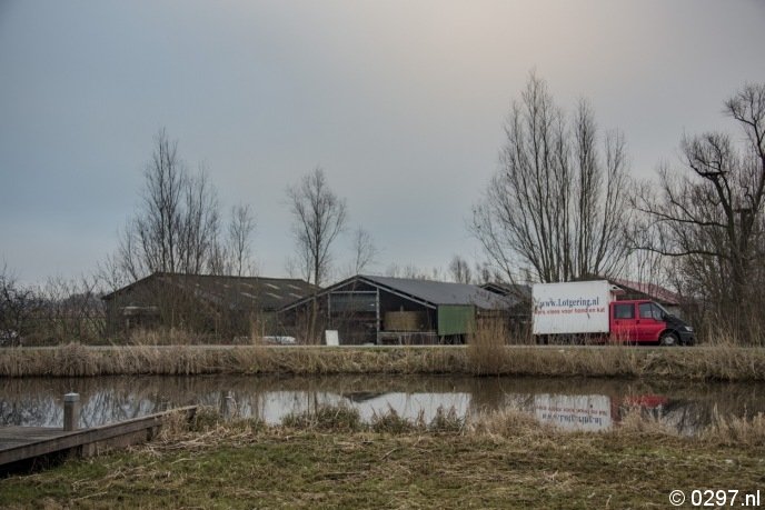 Veehouder in Abcoude bestraft voor wantoestanden - Peter Hotnews